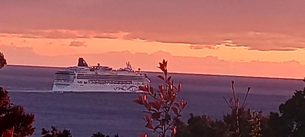 Vila Pogled Bar Cameră foto